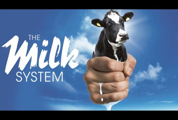 the milk system
