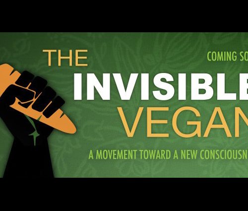 the invisible vegan