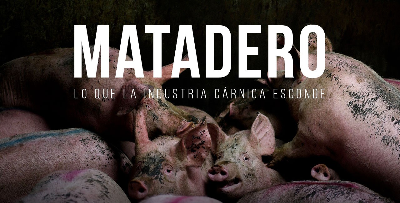 matadero