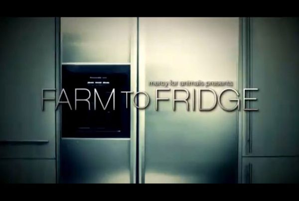 from_farm_to_fridge