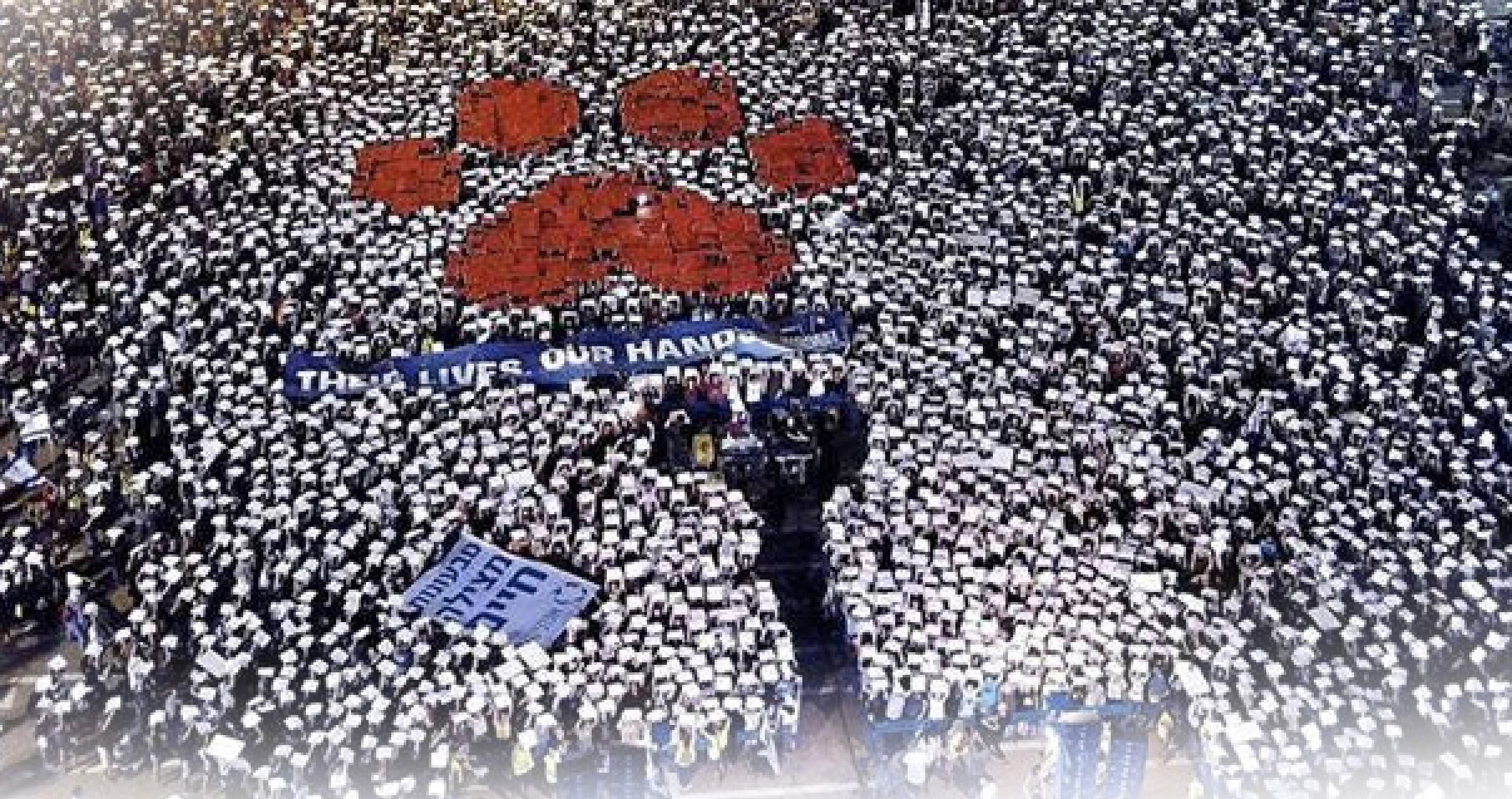 activismo por los animales