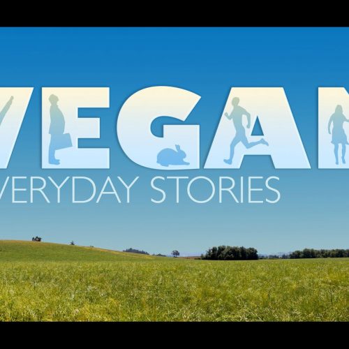 Vegan: everyday stories