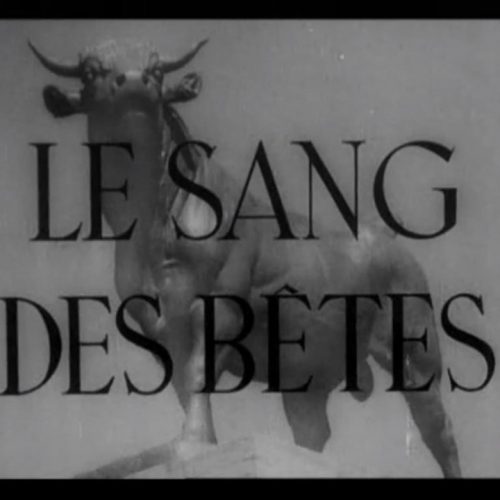 la_sang_des_betes