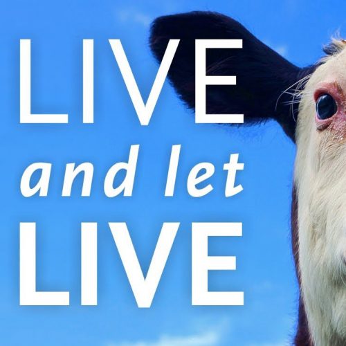 live_and_let_live